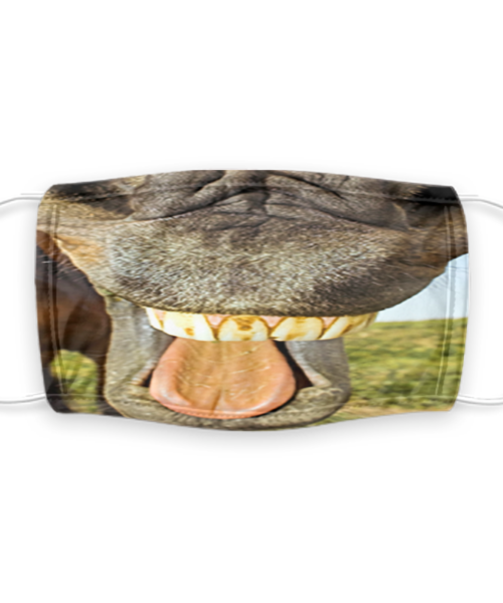 Horse Facemask